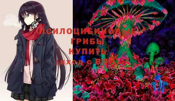 mdma Белокуриха